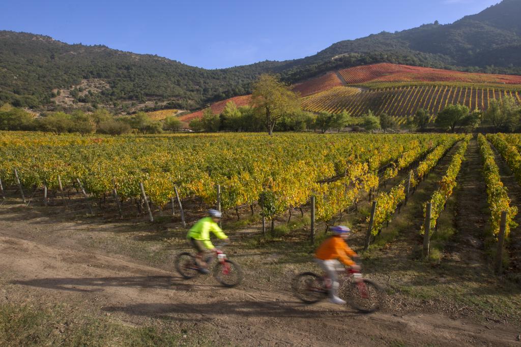 Clos Apalta Residence Relais & Chateaux Santa Cruz Zewnętrze zdjęcie